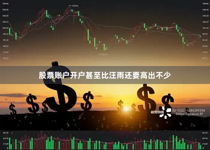 股票账户开户甚至比汪雨还要高出不少